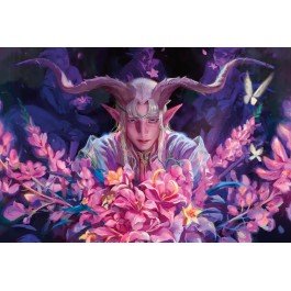 Magic: The Gathering Lorwyn Eclipsed Collector Booster – 15 Cards per Pack, 12 Packs per Box, Premium MTG Collectible Booster for Enthusiasts & Players (PRE-SALE JANUARY)